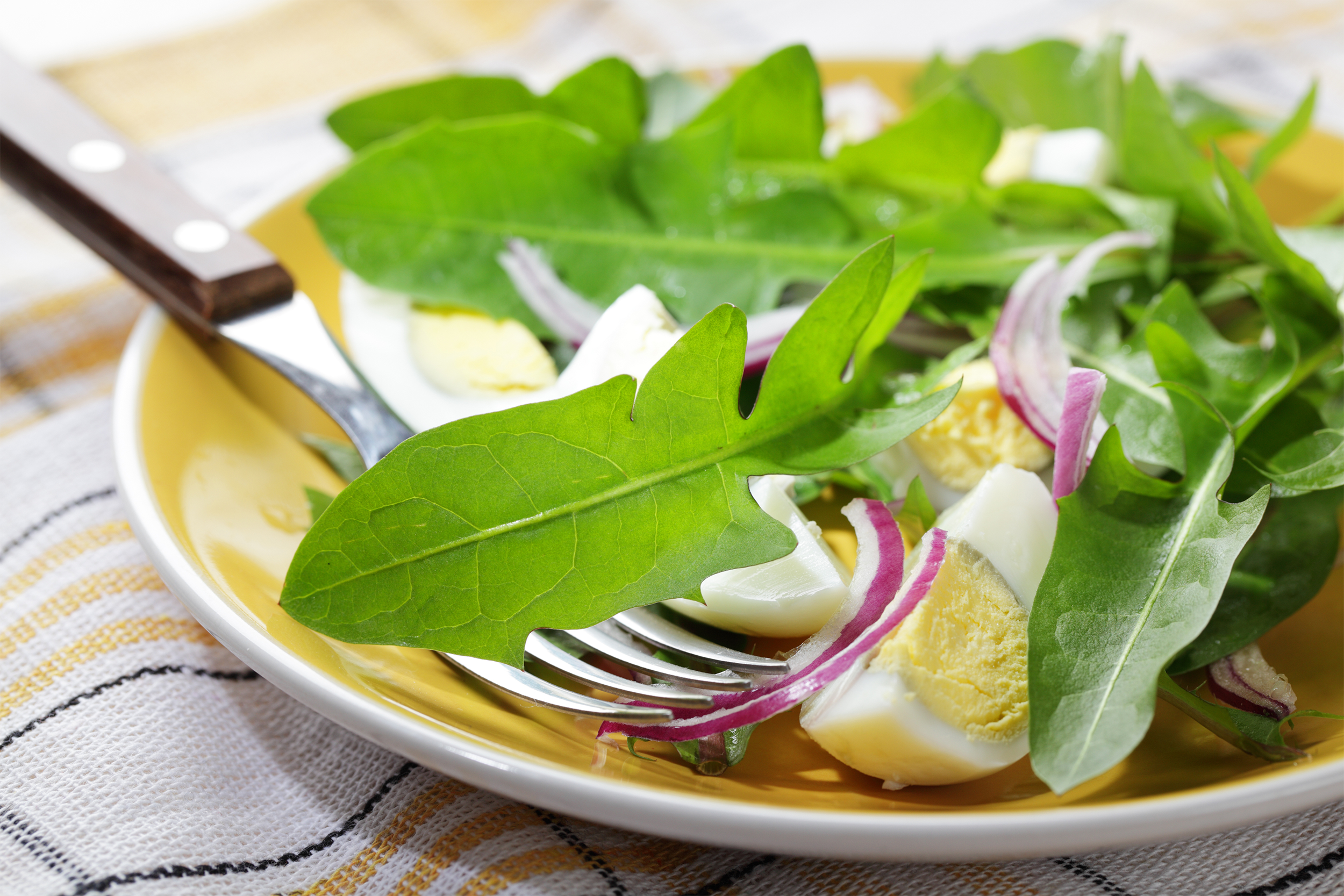 Dandelion Salad