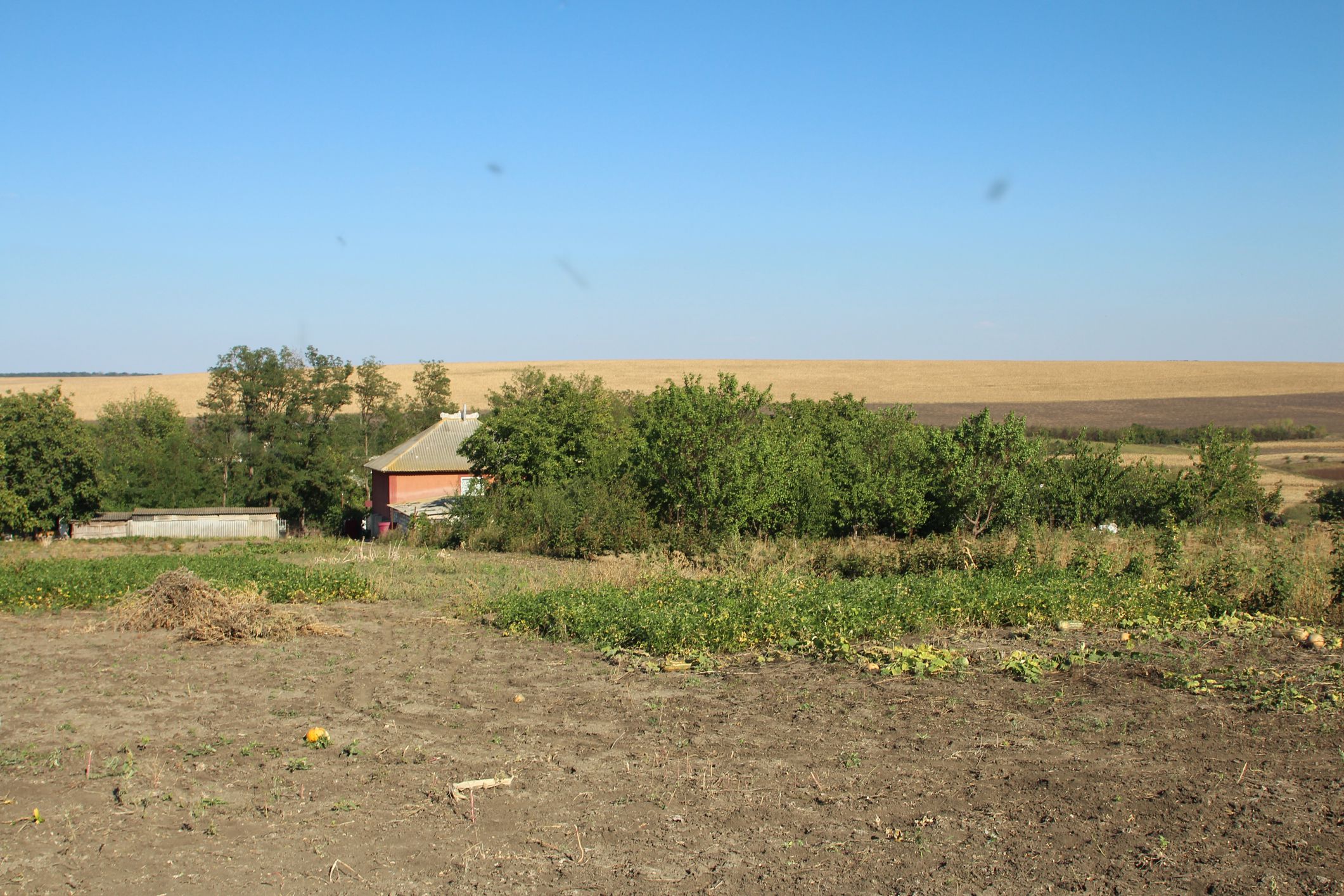 A house in a field. Sky. Outdoor. Grass. Dirt. Plain