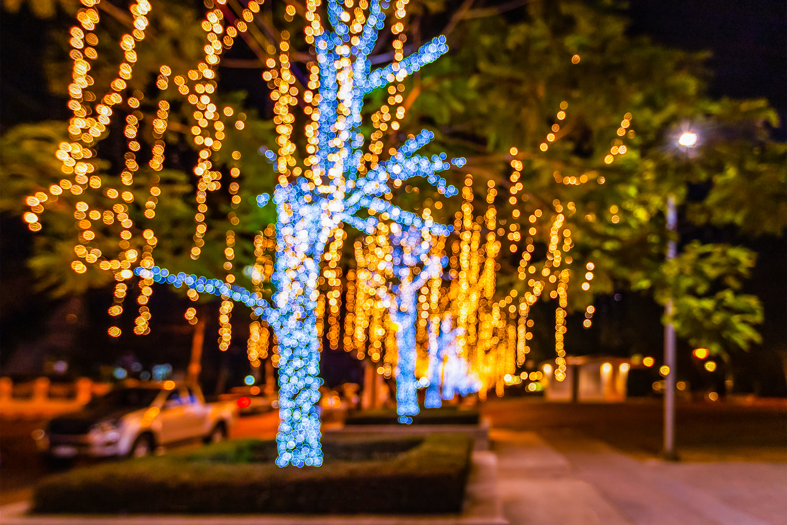 Christmas in Bowling Green, Kentucky