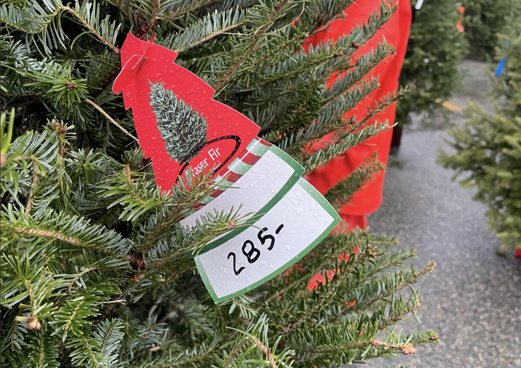 Christmas Tree Price Tag