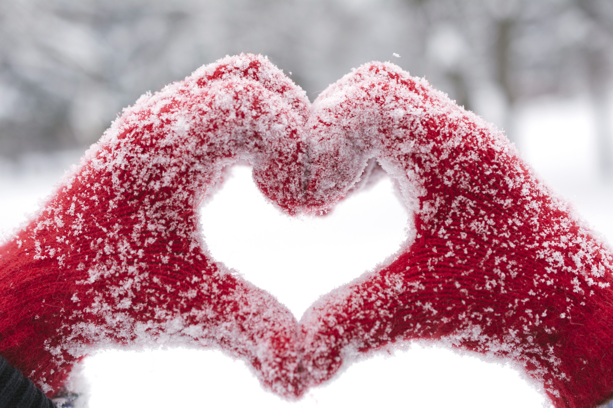 Closeup of two hands in red gloves making a heart sign with sprinkled snow, snowy landscape blurred in the background