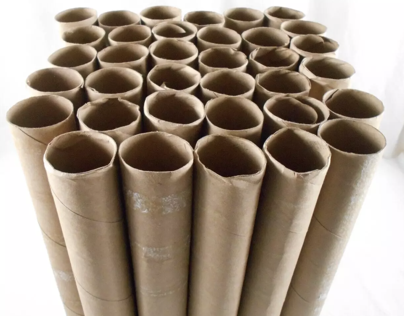 Empty Paper Towel Rolls
