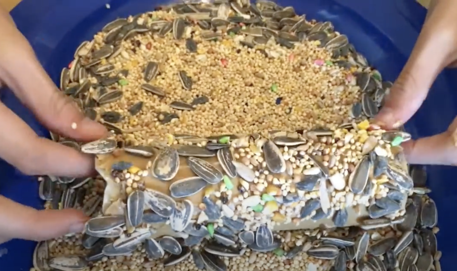 Paper Towel Roll Bird Feeder