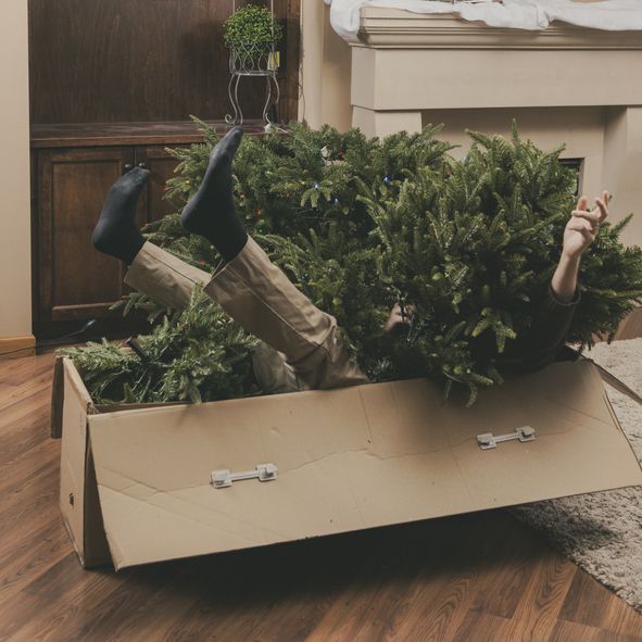 A person in tan pants and black socks has fallen into a large cardboard box with an artificial Christmas tree, their legs and arms sticking out as the box sits on a wooden floor.