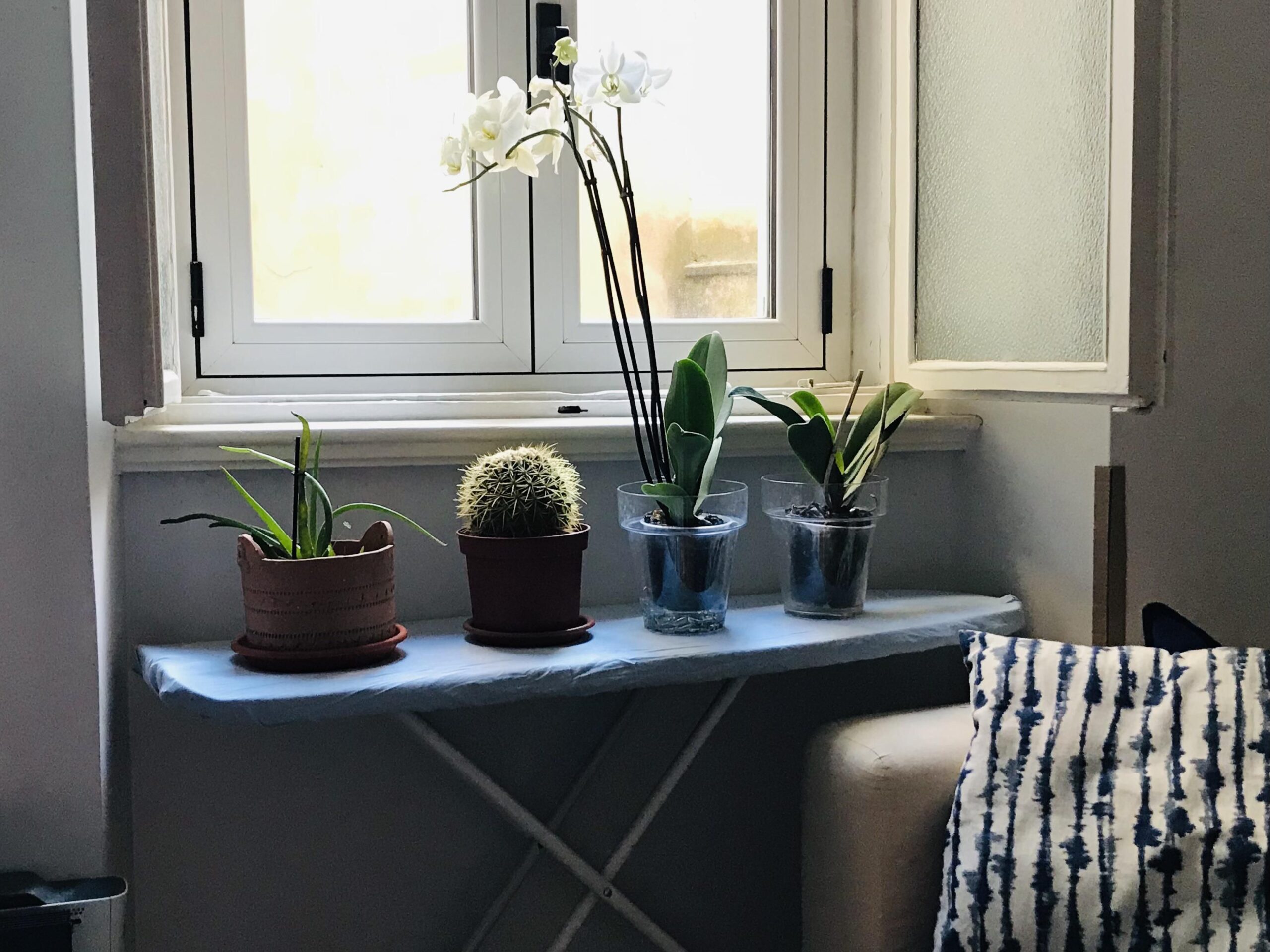 Ironing Board Plant Holder
