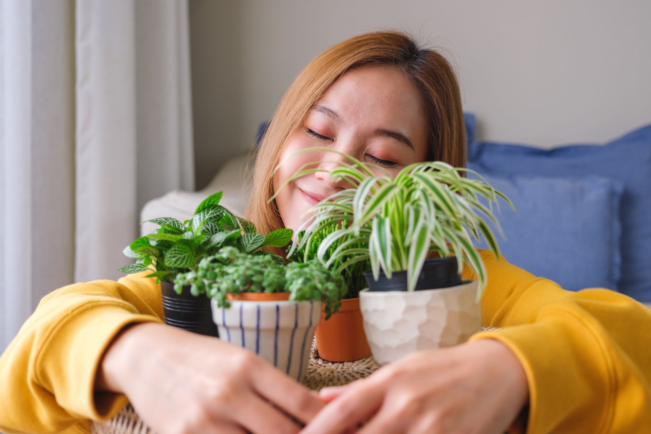 Portrait image of a beautiful young woman holding and hugging houseplants at home