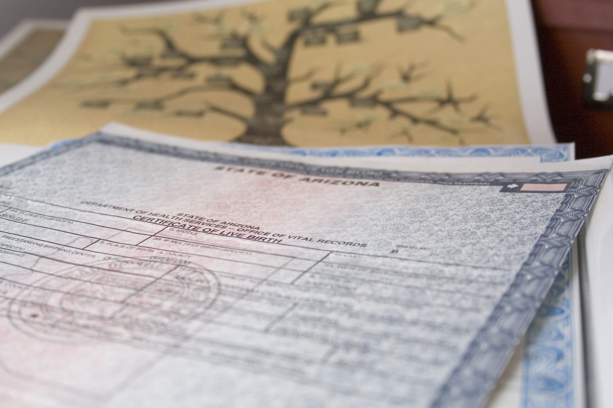 Birth Certificates and family tree