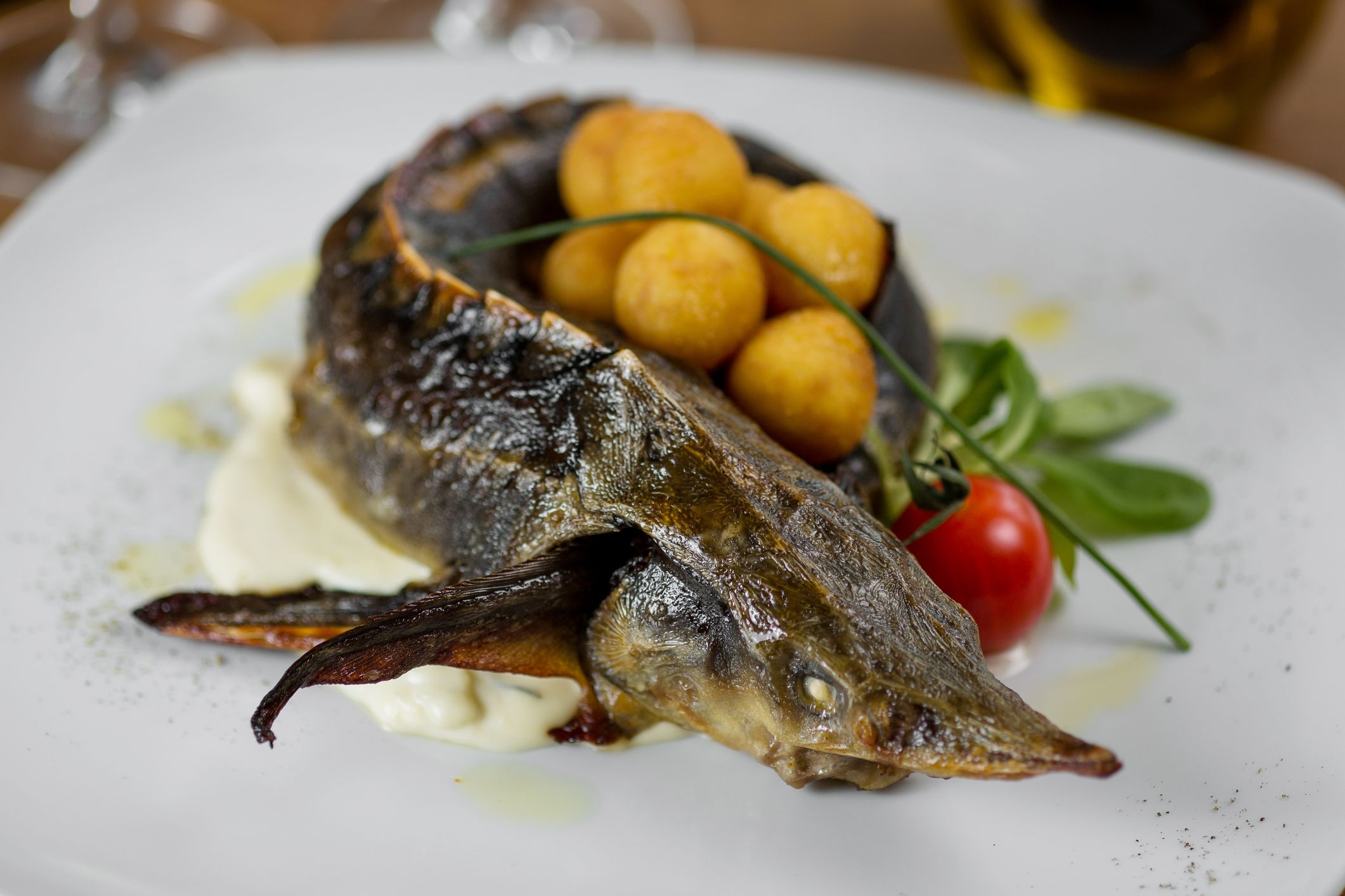 baked sturgeon with cheese balls, cherry tomatoes, lettuce and sauce on a white plate