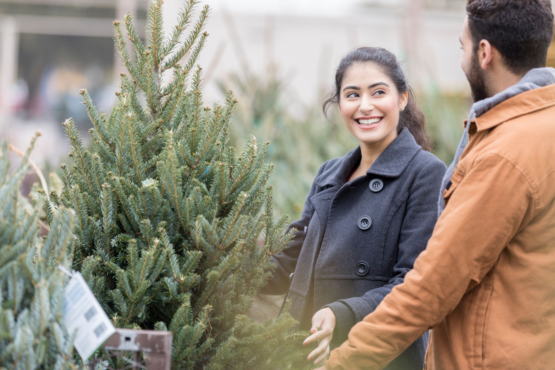 Young couple browse Christmas trees on a Christmas tree lot in search of the perfect tree for their home.