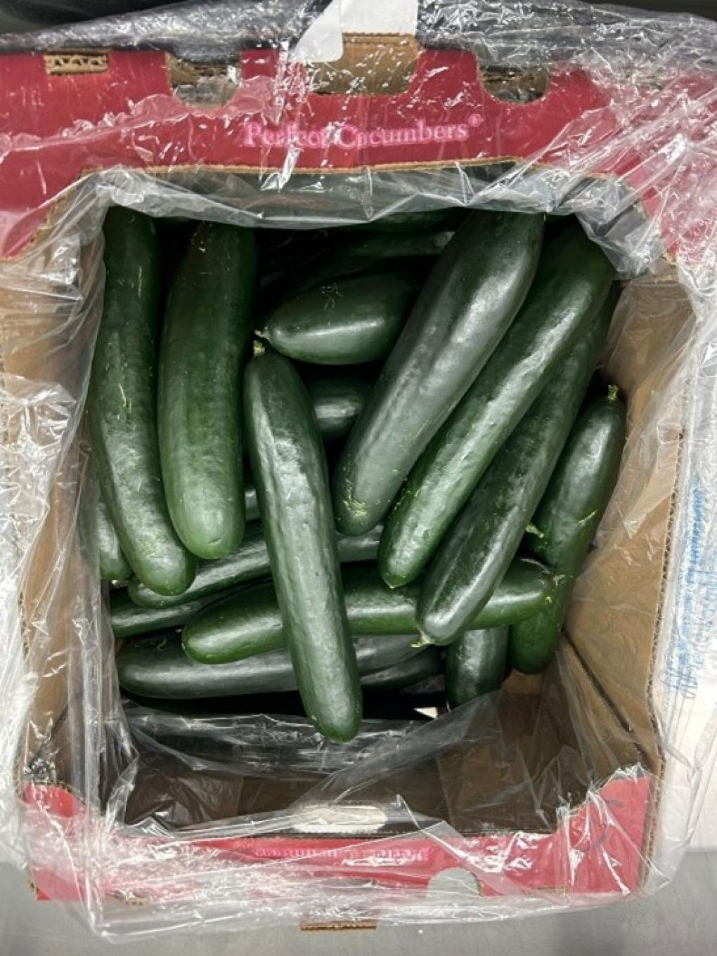 FDA Sunfed cucumber recall image