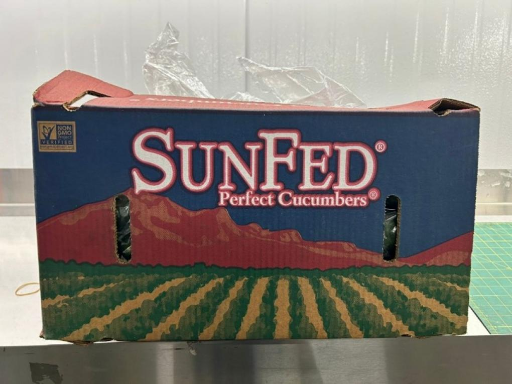 Sunfed cucumber recall FDA
