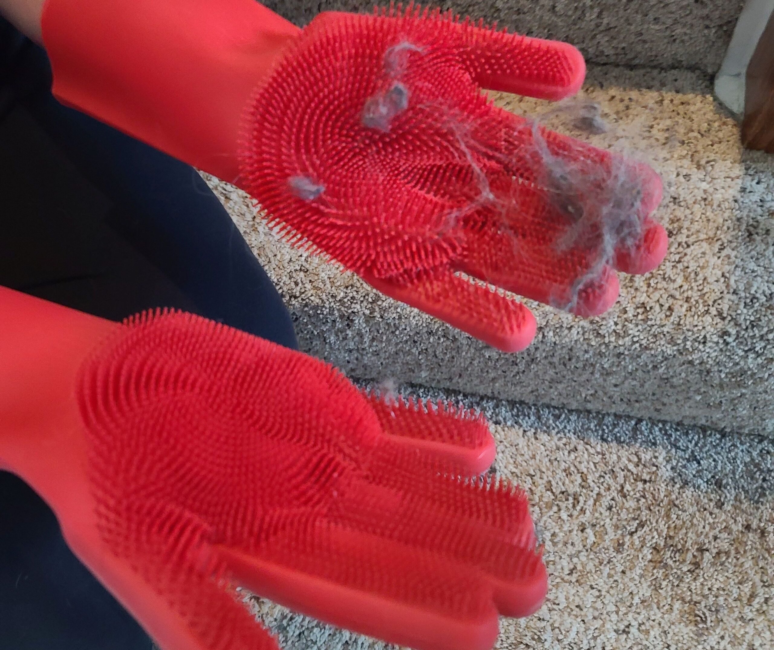 Rubber Gloves Pet Hair