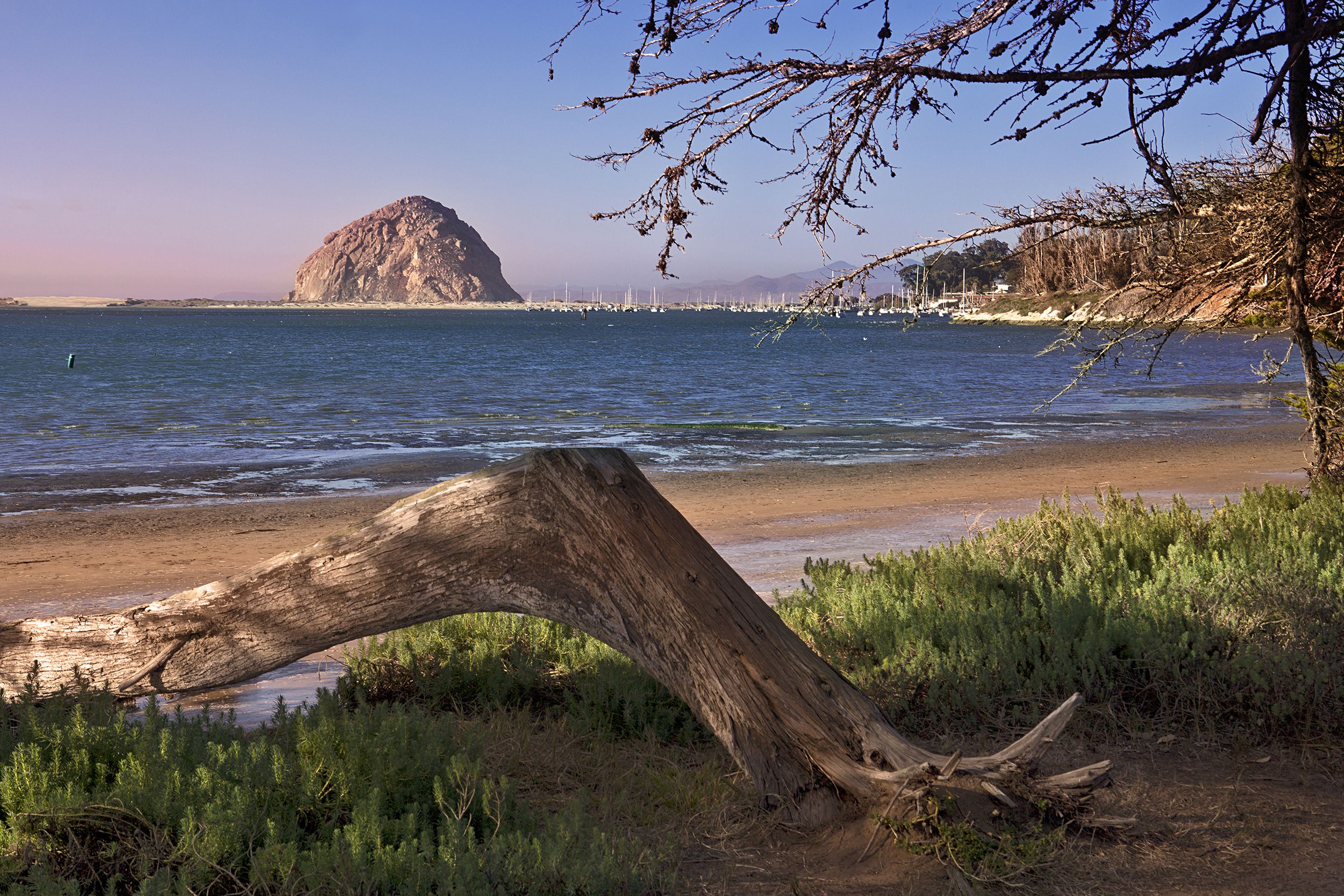 Morro Bay, California