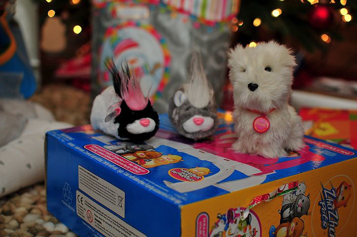 Zhu Zhu Pets