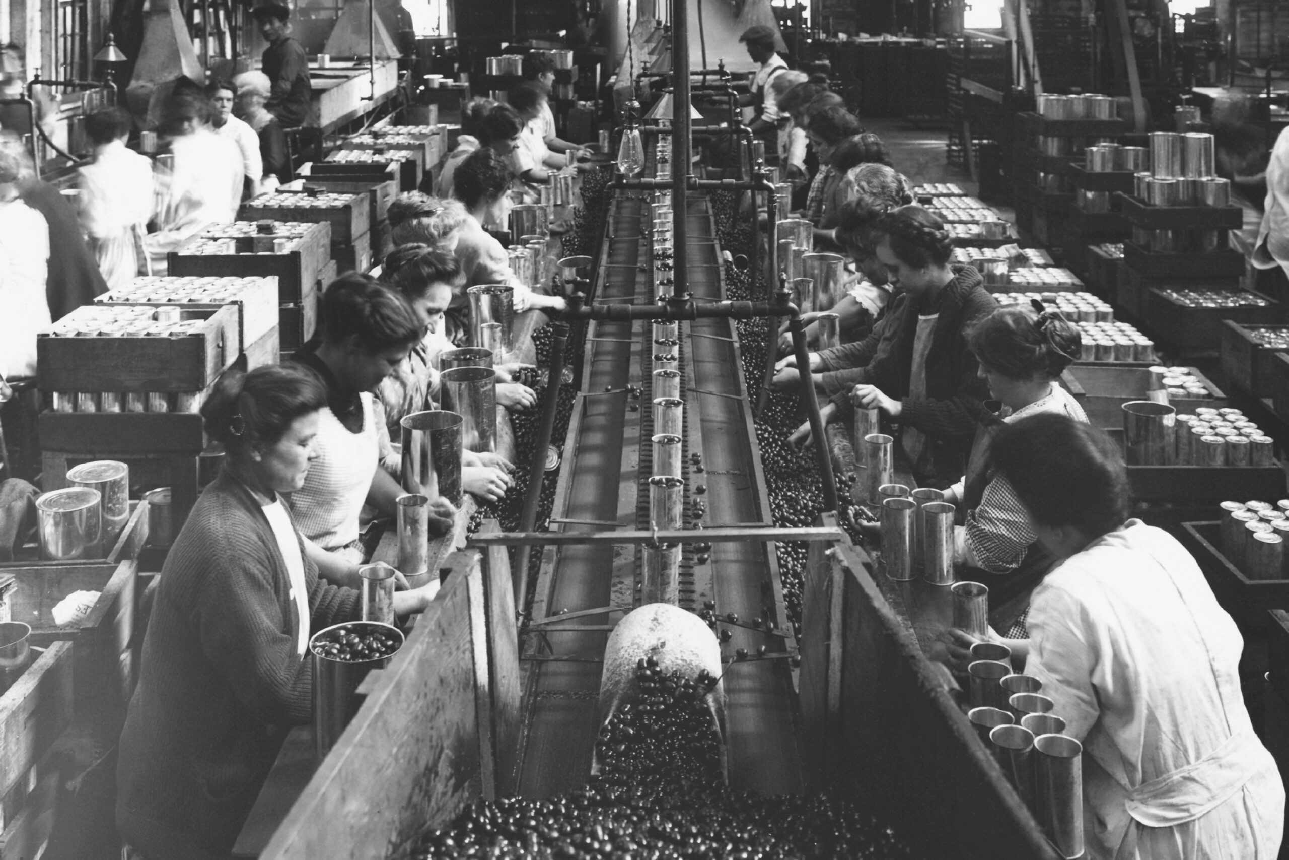 A view along a factory production line of workers filling cans with olives, which pass along a conveyor belt, USA, circa 1940. The production line workers are predominantly women.