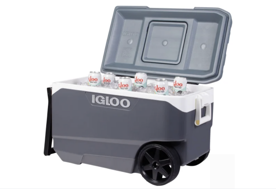 Igloo Cooler
