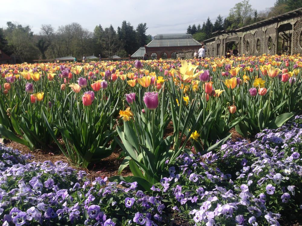 North Carolina: Biltmore Estate Gardens