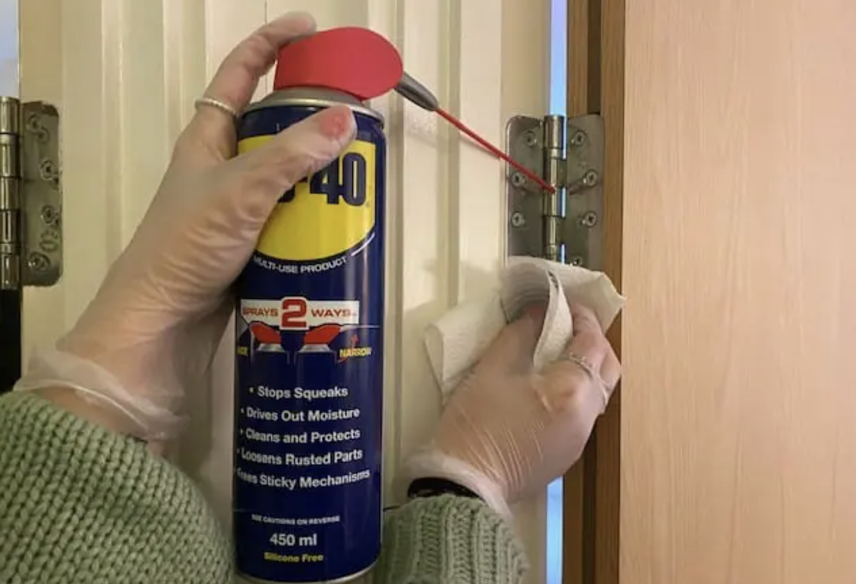 WD-40 Door Hinge