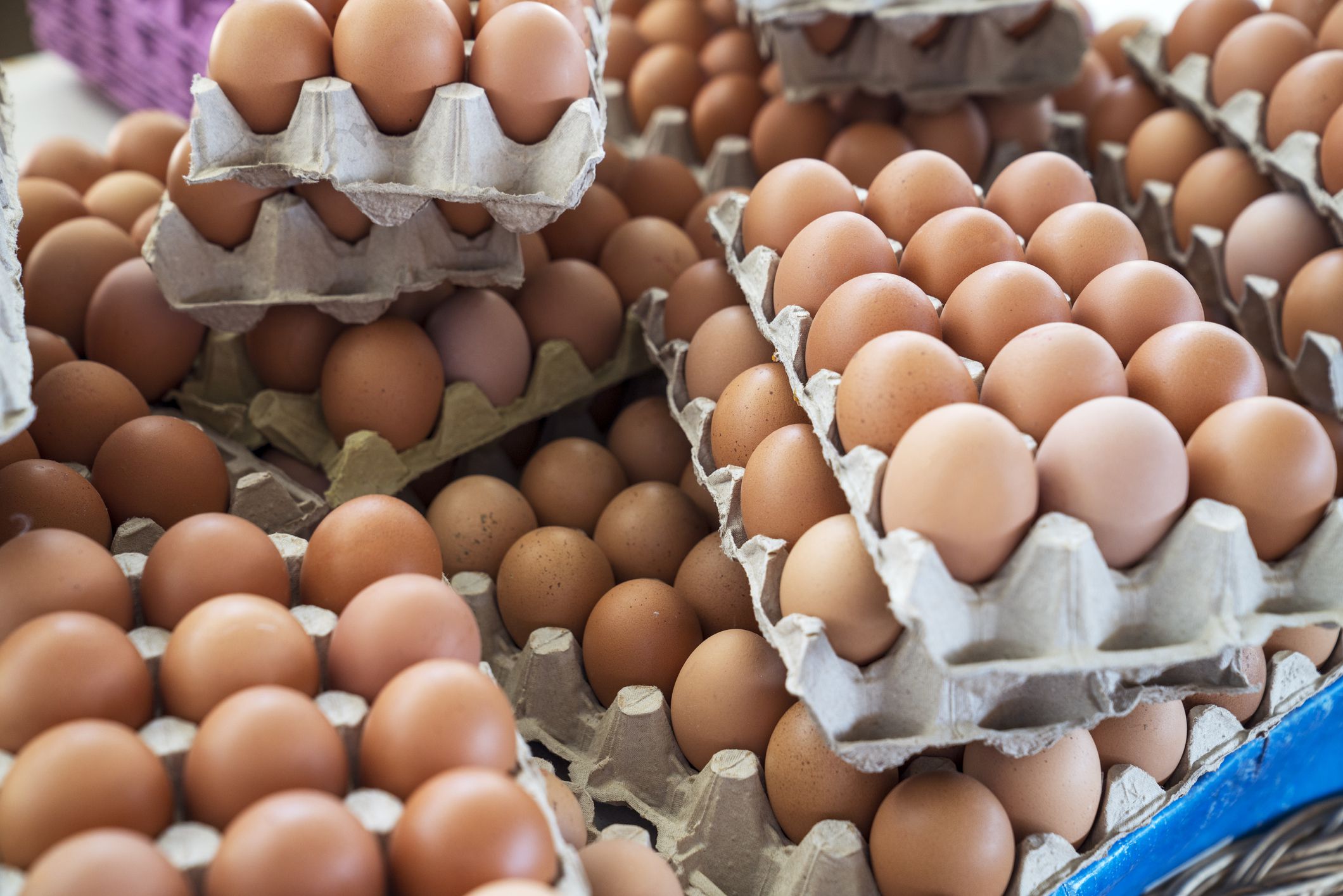 Fresh eggs being sold at farmers market