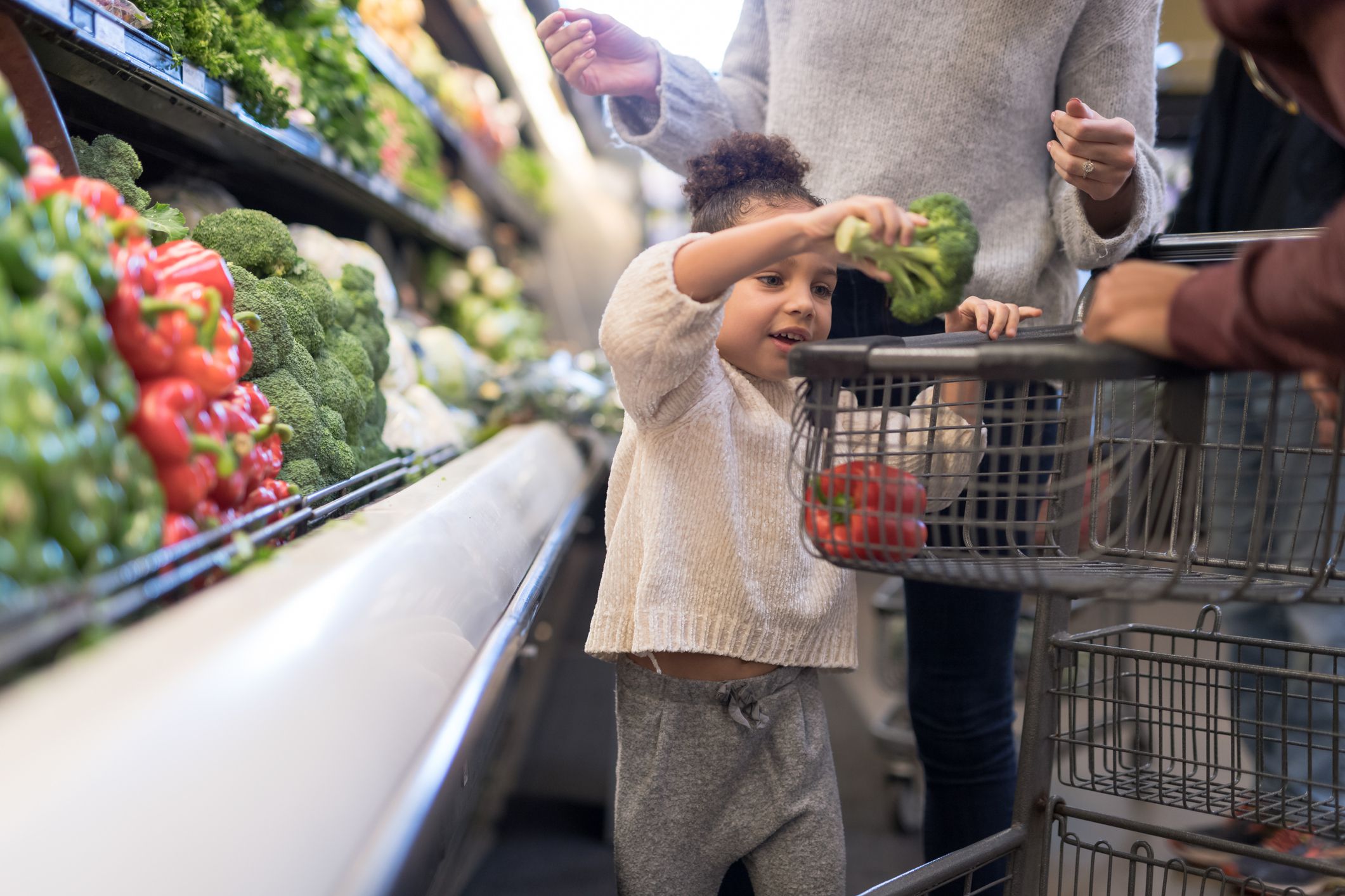 A pre-school age girl helps her parents pick out veggies in the produce section at the grocery store. She is putting a head of broccoli in the cart.