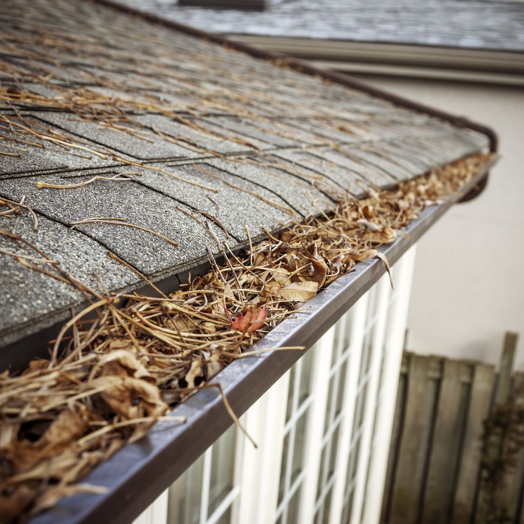 clogged gutter