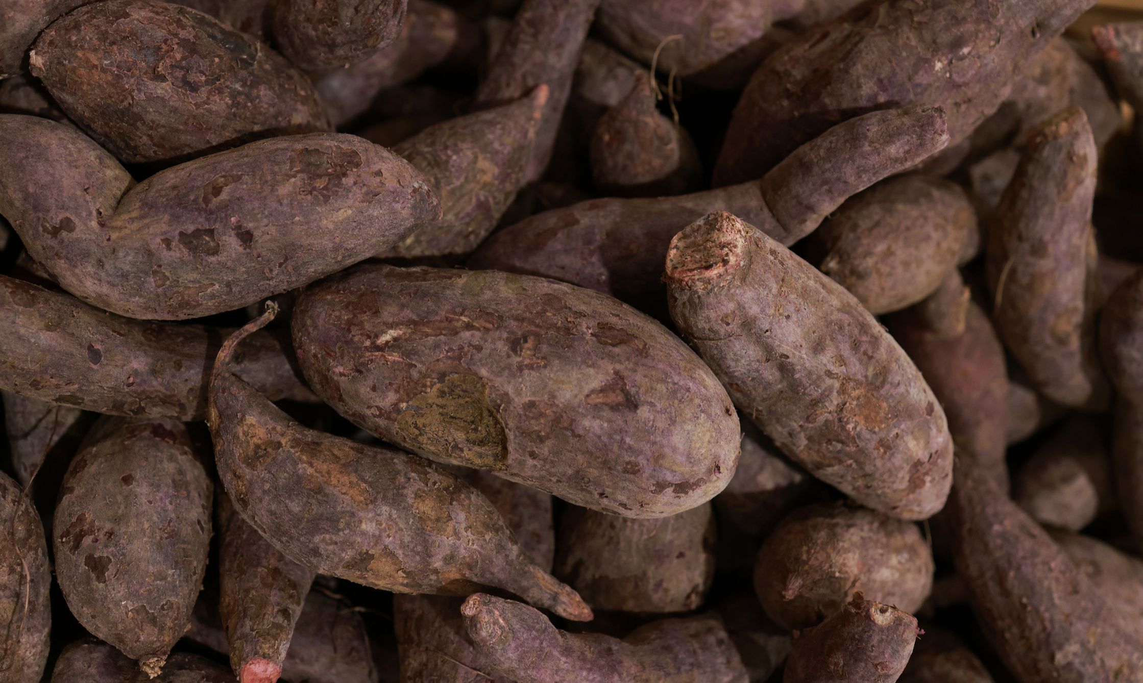 Cassava selling in supermarket, vegetable and food concept
