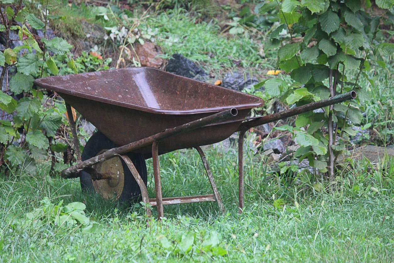 wheelbarrow