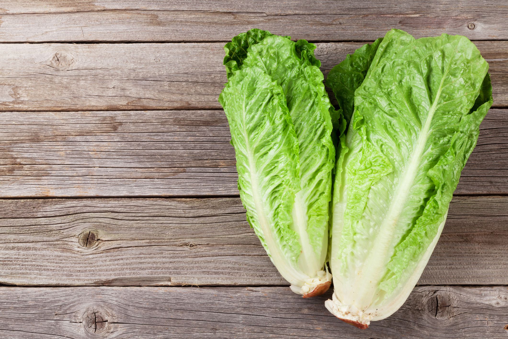 Fresh Romano salad on wooden table. Top view with copy space