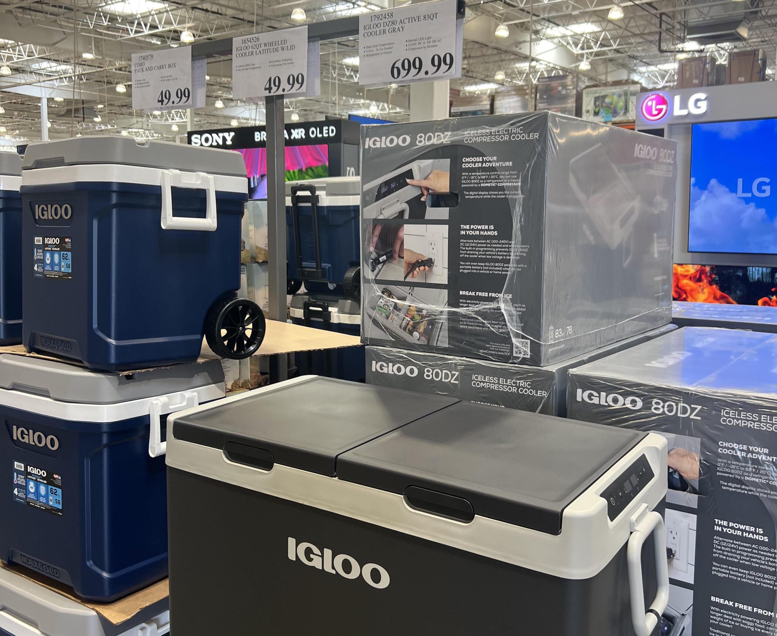 Costco Igloo Coolers