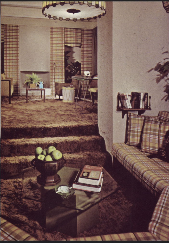 Shag Carpeting