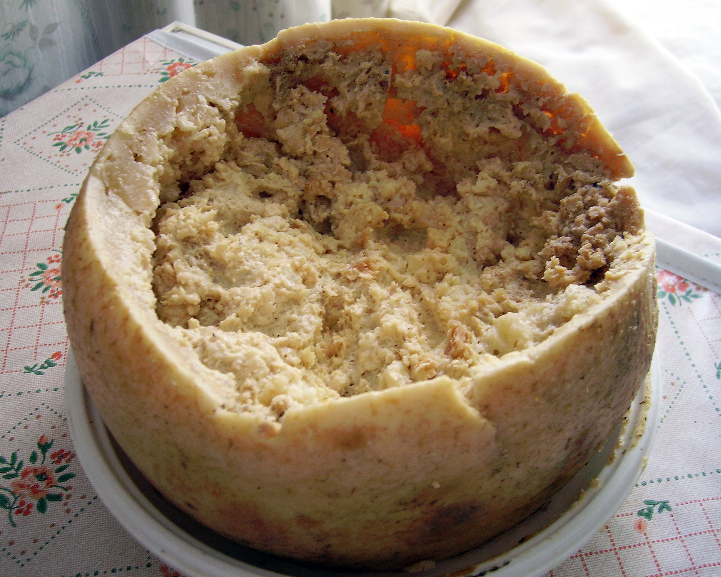 Casu Marzu