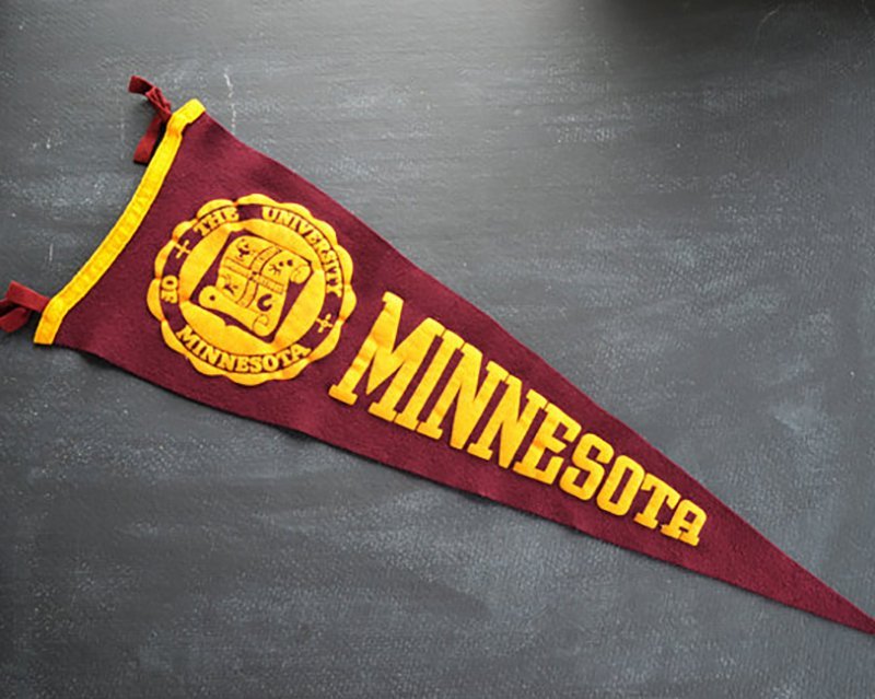 University of Minnesota College Pennant