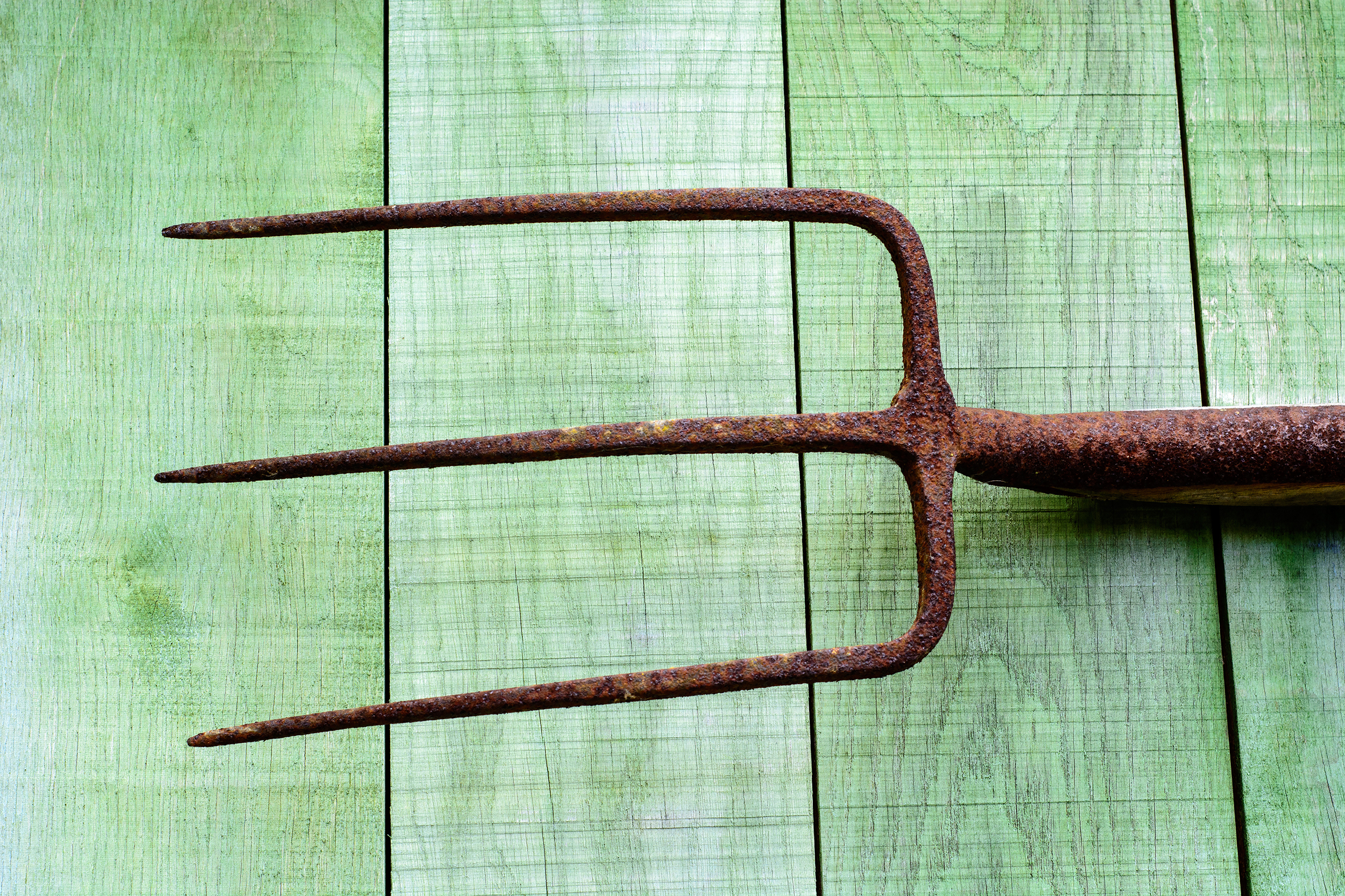Rusty pitchfork on a wooden background