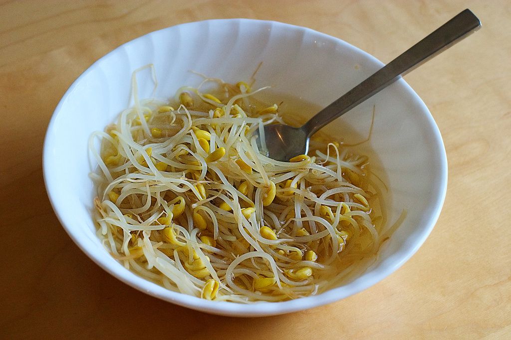 korean bean sprout soup