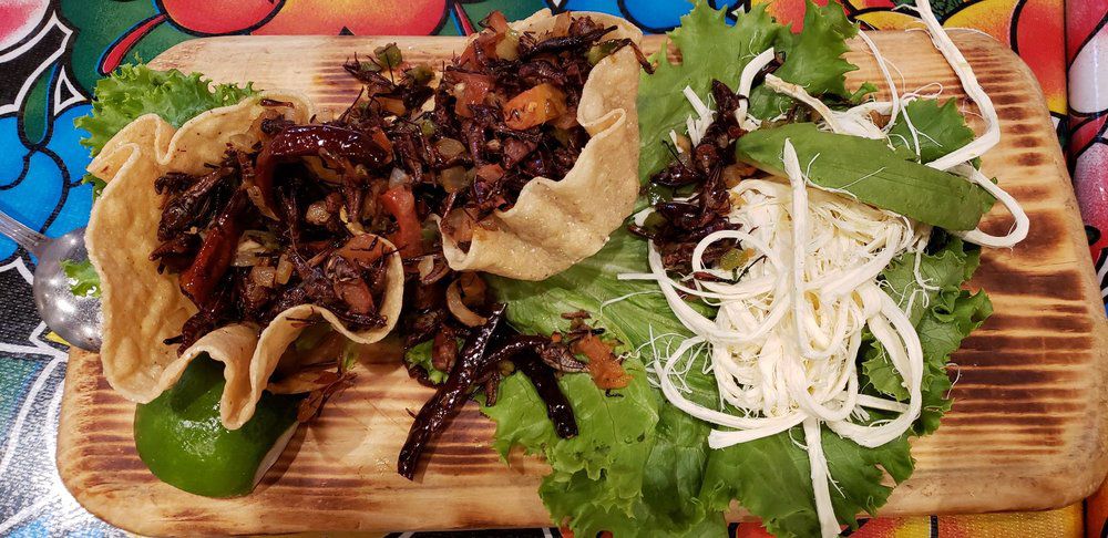 Grasshopper appetizer