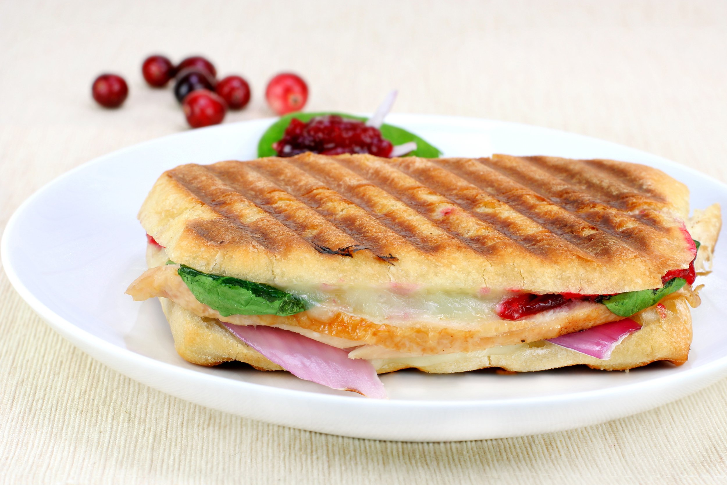 Ham and cranberry panini