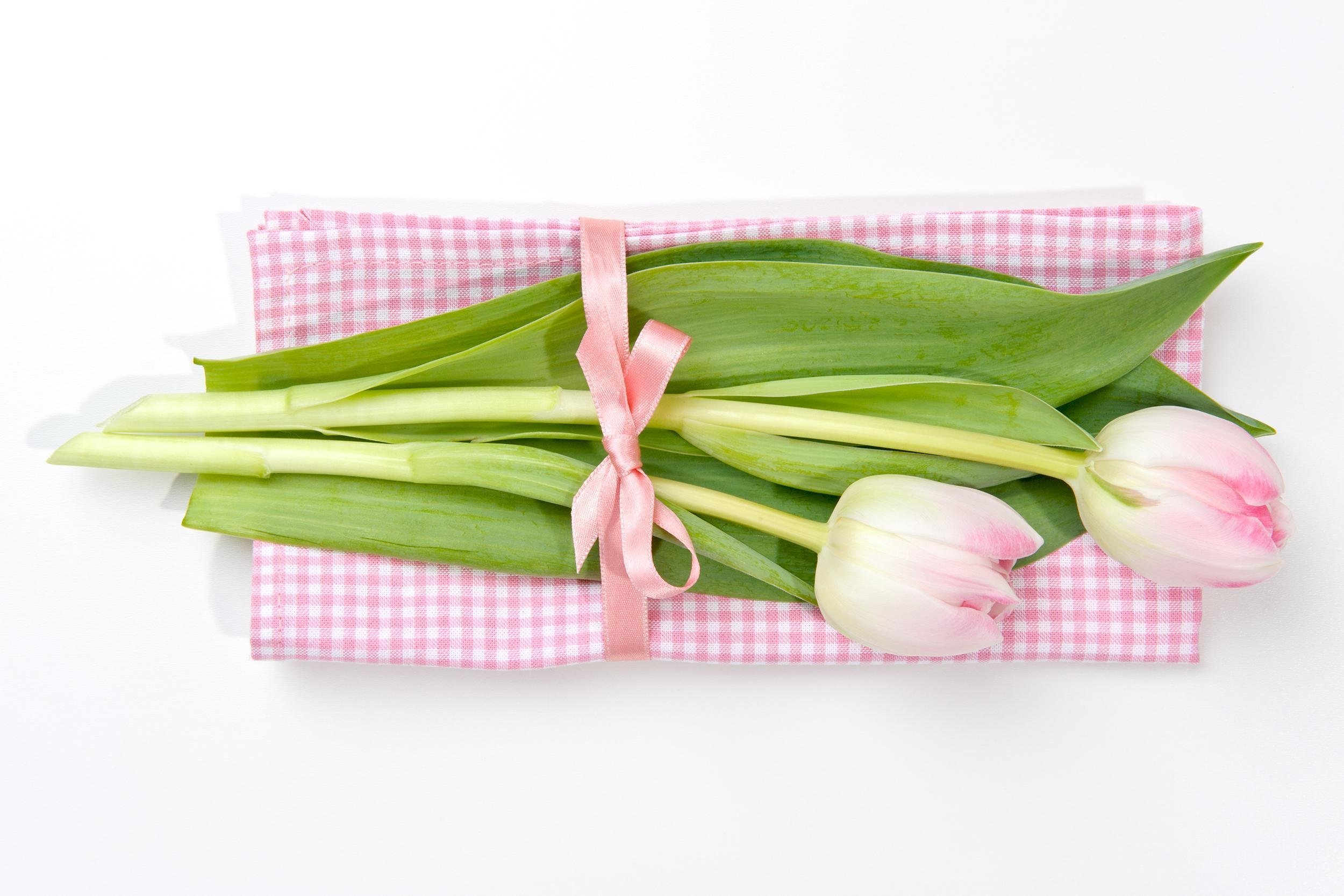 pink tulips