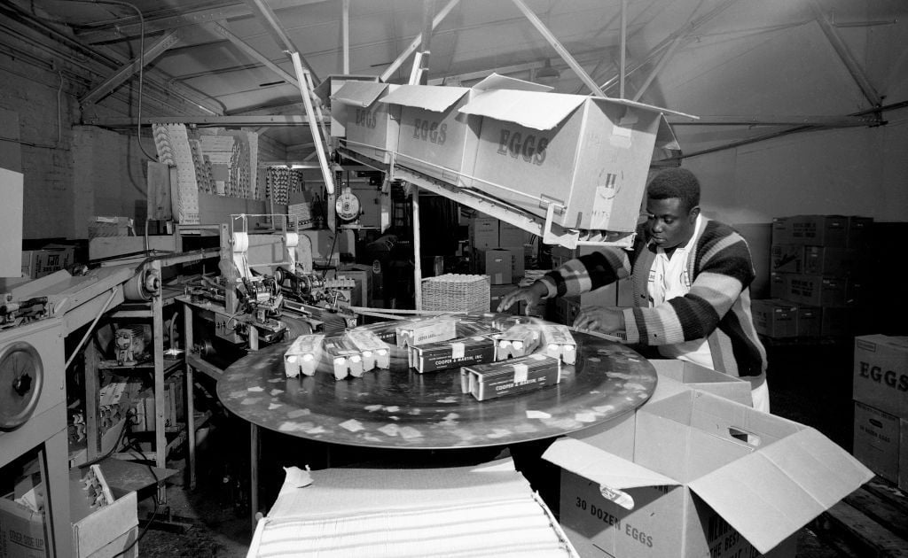 An African American man working at MerryLog Farms in 1970 in Nashville, Tennessee.