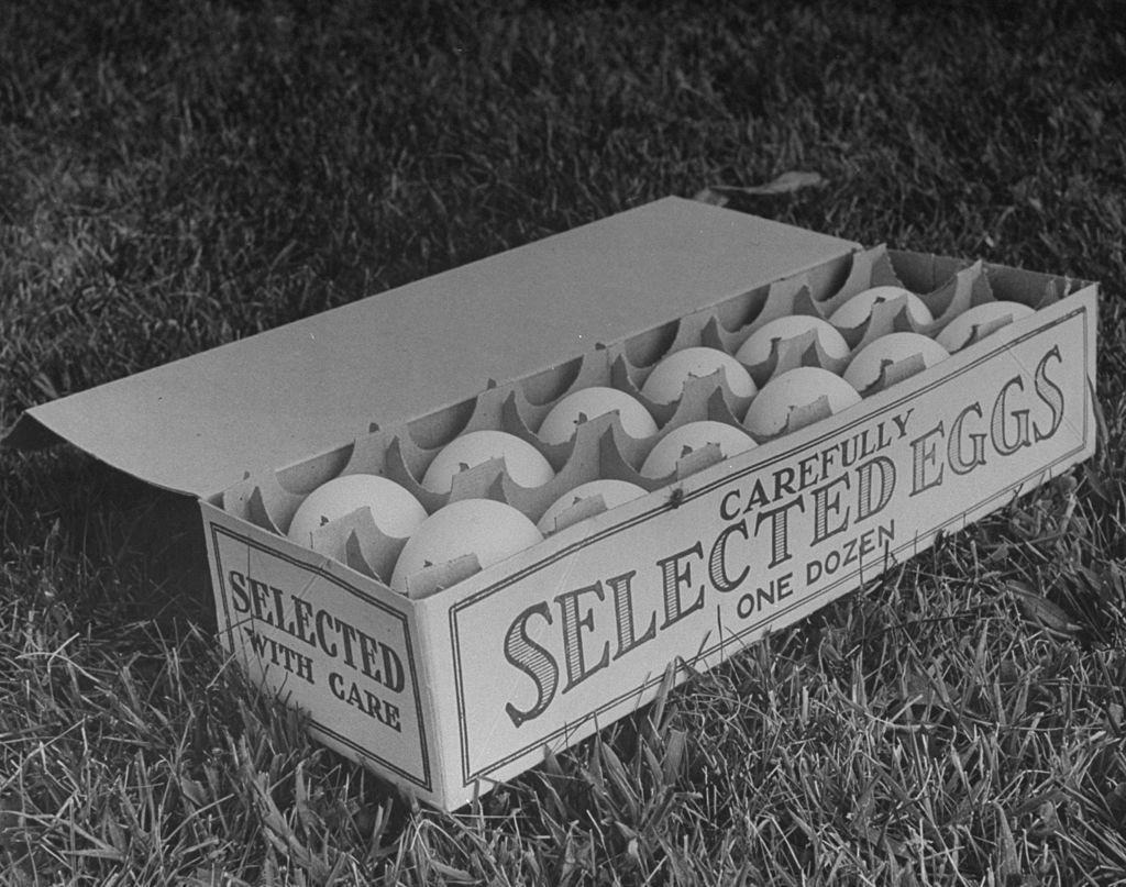 Large white eggs in open egg carton lying on the grass.