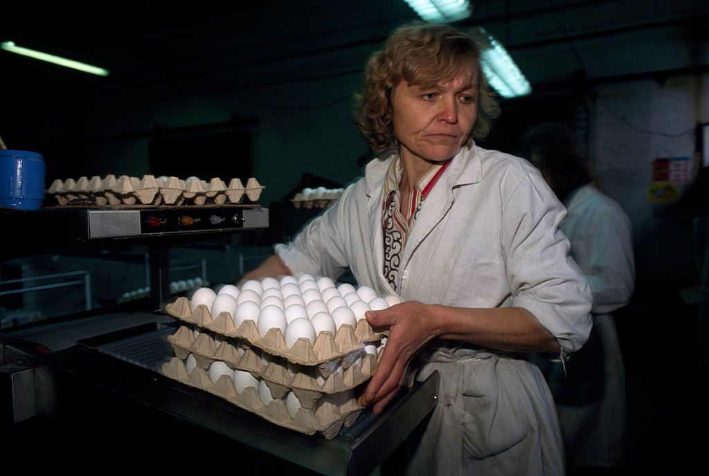 Estonian woman works at a poultry factory in Tallin