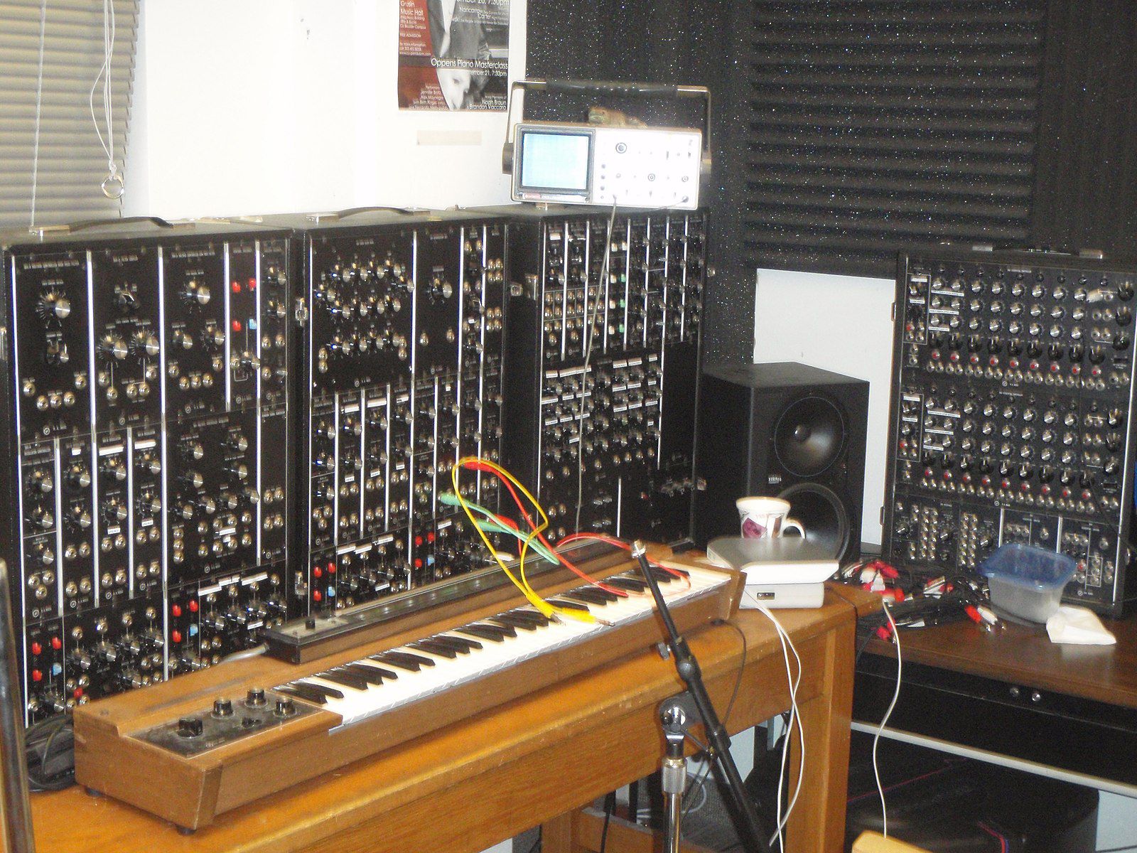 Moog Synthesizer