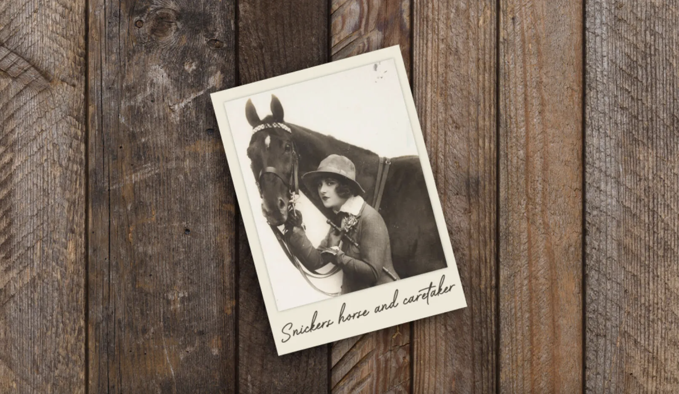Snickers the Horse