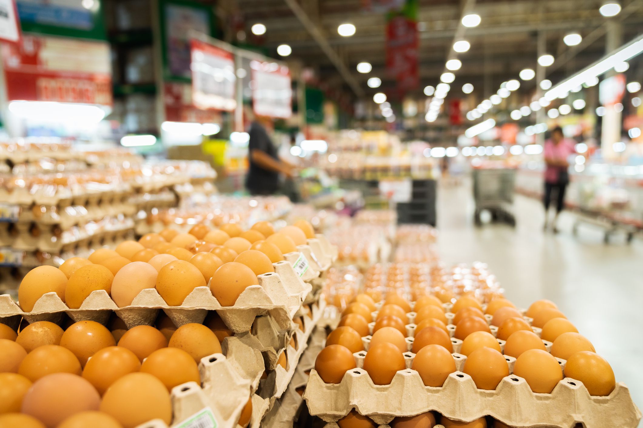 Fresh chicken eggs for choosing in supermarket, buying and hoarding during the Covid-19, Corona virus epidemic. Preparing for pathogen virus pandemic