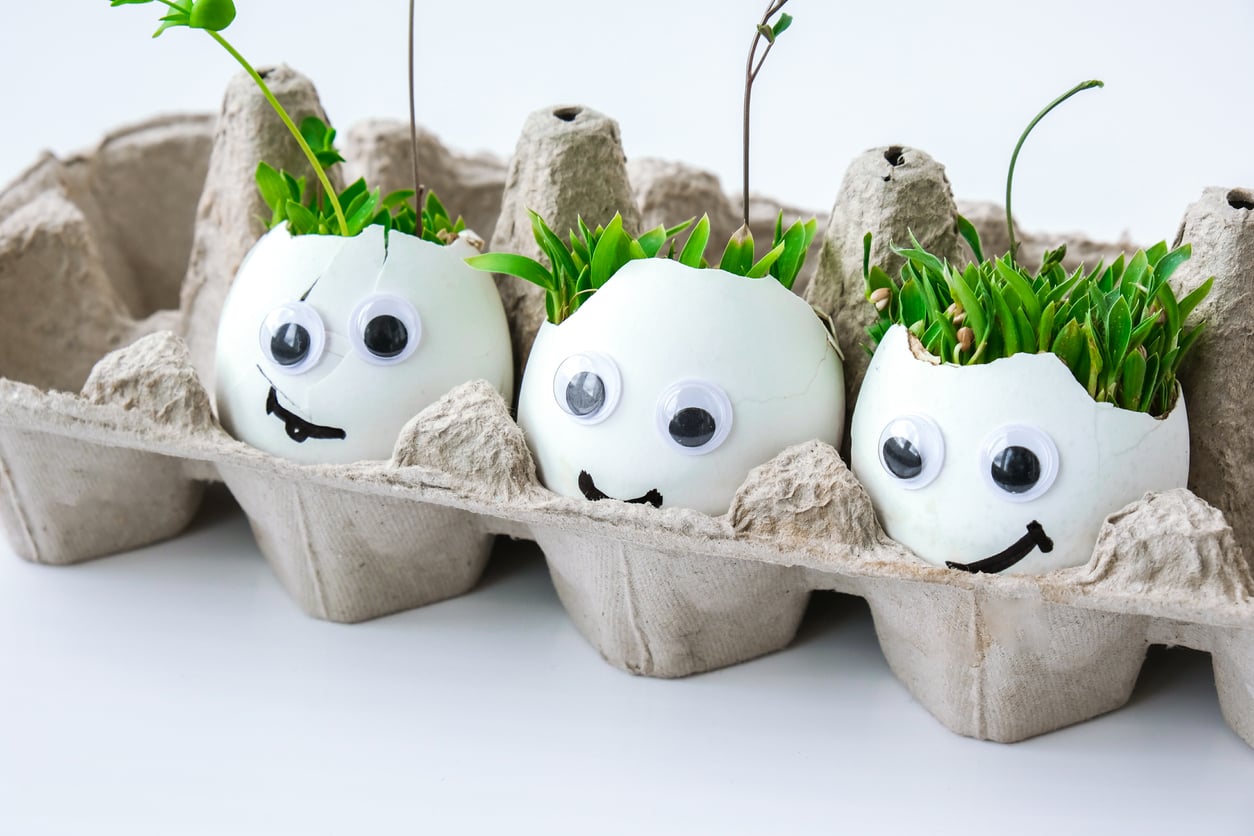 Three eggshells with googly eyes and smiley faces, filled with green sprouts and placed in a cardboard egg carton.