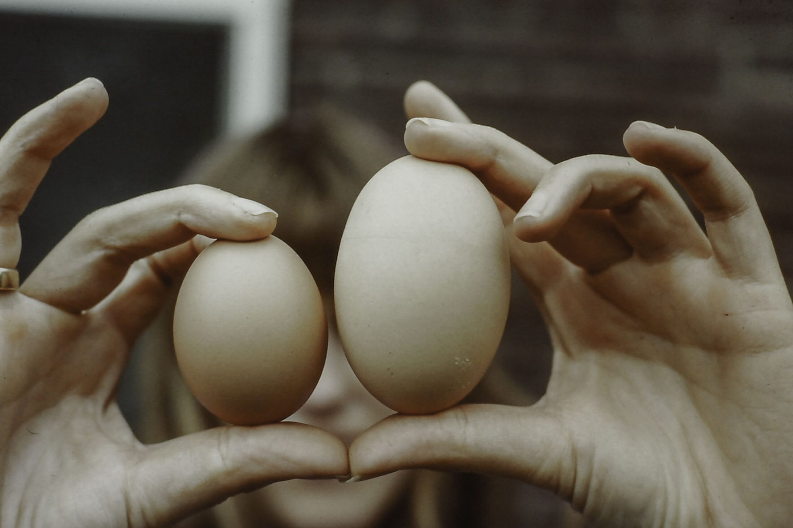 Woman showing a big egg back in time
