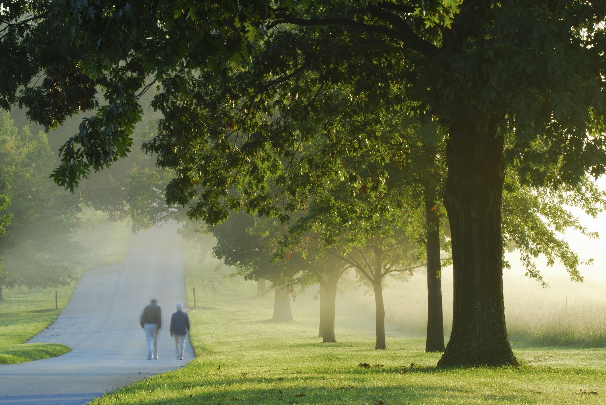 People walking at Valley Forge National Park in a foggy morning at Sunrise