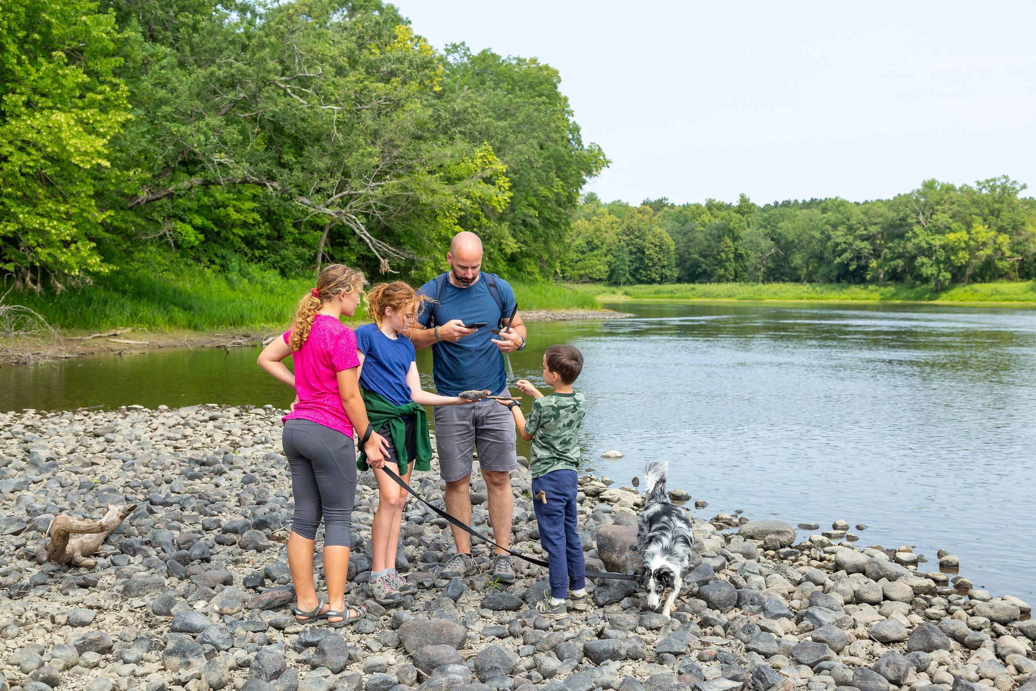 Family exploring the bed of the Mississippi River with their dog on a summer day. It has been a dry summer, and the river is very low. In this image the dad is taking a picture of the