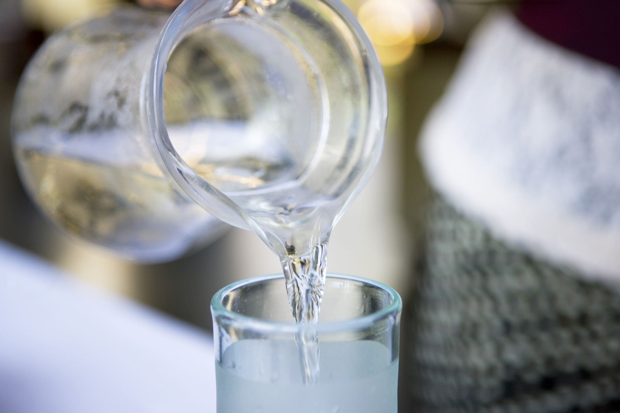 3. Bugs Thrive in the Water Maker