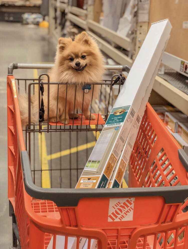 The Home Depot, Colma, CA