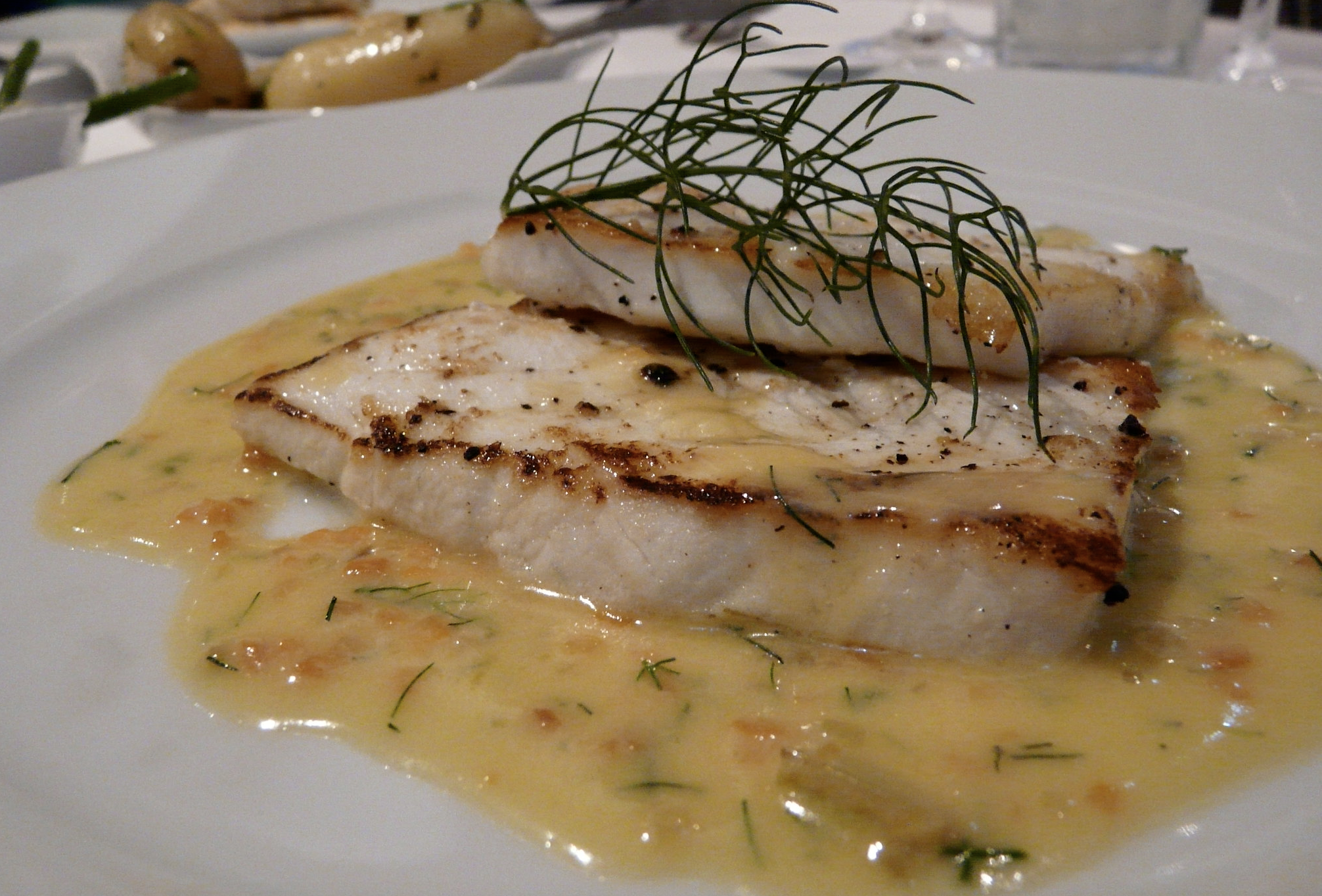 Halibut